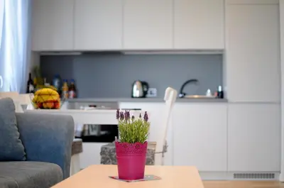 a table with a potted plant on it in a kitchen at APARTAMENT LIPSKA 4 in Kraków