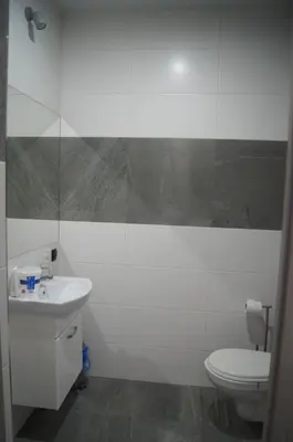 a bathroom with a toilet and a sink at OLIVIA in Osiek