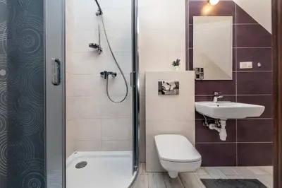 a bathroom with a shower and a toilet and a sink at RYSIÓWKA pokoje gościnne in Modlniczka