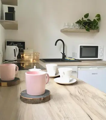 a kitchen with pink cups and saucers on a counter at Apartament 212 in Klikuszowa