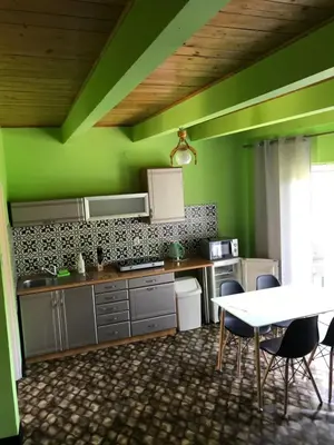 a kitchen with green walls and a table and chairs at Osada Babiogórska - domki gościnne in Zawoja