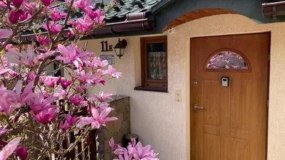 a house with a wooden door and pink flowers at APARTAMENTY-STUDIO noclegi wczasy wakacje ferie - pobyty rodzinne in Rabka