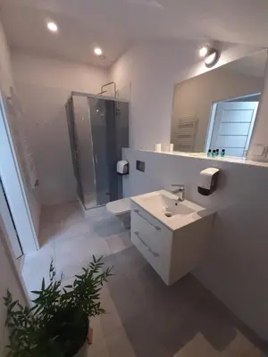 a bathroom with a sink and a shower and a mirror at Apartamenty Szlachecki Dwór in Pobiednik Wielki