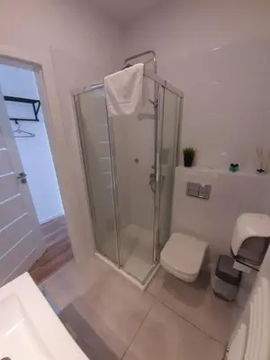 a bathroom with a shower and a toilet at Apartamenty Szlachecki Dwór in Pobiednik Wielki