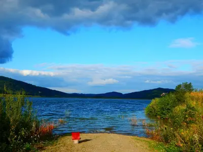 a fire hydrant sitting on the shore of a lake at PoziomKA in Jaszczurowa