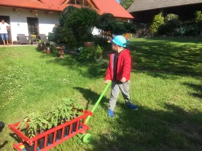 a young boy pushing a wheelbarrow in a yard at Dom Pod Orzechem in Łapczyca