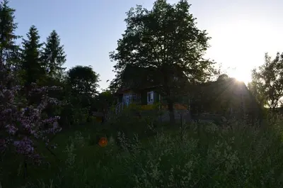 a house in the middle of a field with trees at Kolorowy Domek in Kasina Wielka