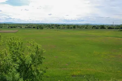 a large green field with trees in the distance at THE HEART OF NOWA HUTA - free garage in Kraków