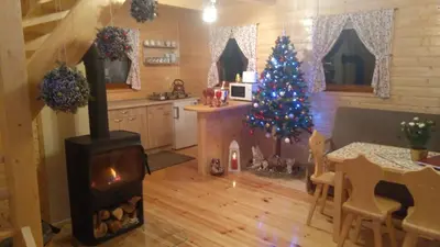 a living room with a christmas tree and a stove at Ranczo Zapole in Zasadne