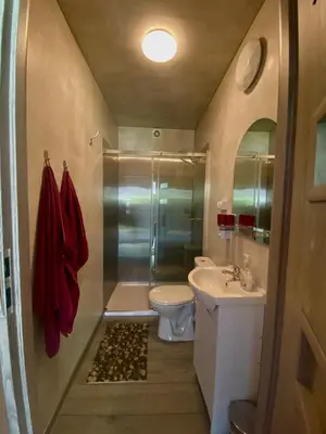 a bathroom with a shower and a toilet and a sink at Brzozowy Gaj in Bachowice