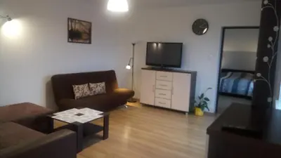 a living room with a couch and a television at Agroturystyka u Krzysztofa ZATOR ,ENERGYLANDIA , NOCLEGI in Graboszyce