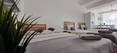 a room with three beds and a potted plant at Apartament Na Szkolnej in Zator