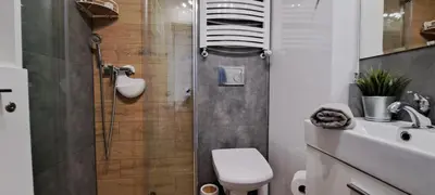 a bathroom with a shower and a toilet and a sink at Apartament Na Szkolnej in Zator