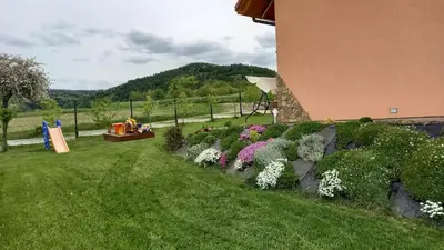 a row of flowers in a yard next to a building at Ranczo pod Klimoską in Rzyki