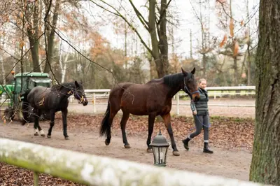 a woman walking two horses in a field at Pokoje Gościnne Cheval in Kraków