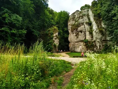 a path through a forest with a large rock at Apartament Przy Skale u Anny in Sąspów