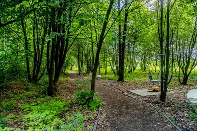 a park with a blue bench in the woods at JJ Sport Concept Hotel in Kraków