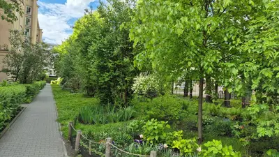 a garden with trees and flowers and a sidewalk at Apartament Daszyńskiego in Kraków