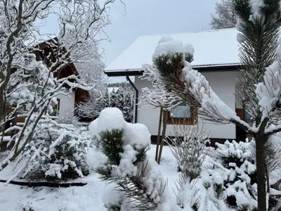 a house covered in snow in the yard at Na Szlaku - domki do wynajęcia in Rabka