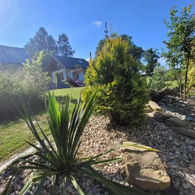 a garden with a house in the background at Na Szlaku - domki do wynajęcia in Rabka