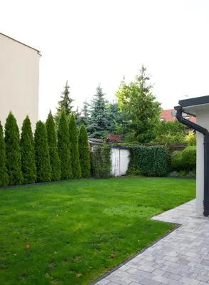 a yard with green grass and a fence at Apartamenty ZORZA in Kraków
