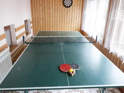 a ping pong table with a ping pong racket on it at Agroturystyka U Misia in Niedźwiedź