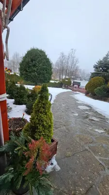 a garden with trees and snow on the ground at Agroturystyka U Misia in Niedźwiedź