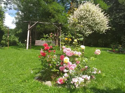 a garden with flowers and a bench in the background at Zajazd Joniec Małgorzata in Dobra