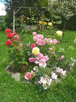 a garden of flowers in front of a bench at Zajazd Joniec Małgorzata in Dobra