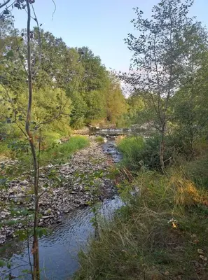 a river with trees and a bridge in the background at Zajazd Joniec Małgorzata in Dobra