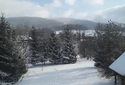 a snow covered yard with trees and a mountain at Zajazd Joniec Małgorzata in Dobra