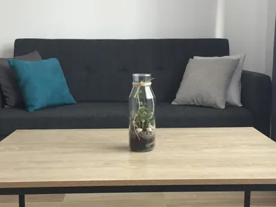 a bottle with a plant in it sitting on a coffee table at Apartament loft Krzeszowice centrum in Krzeszowice