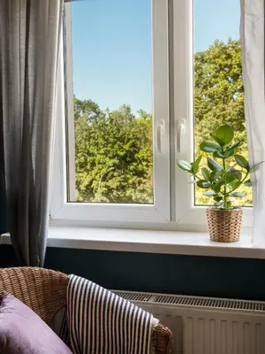 a window with a potted plant in a room at Green view apartment / Kochanowskiego in Kraków