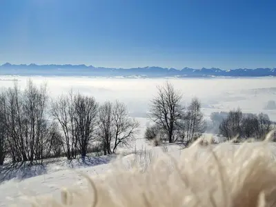 a view of a snowy field with trees in the background at Domki Gorce Klikuszowa Sauna Jacuzzi in Klikuszowa