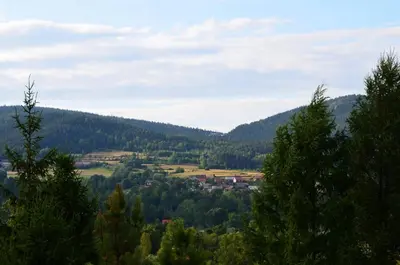 a town in the middle of a valley with trees at Dom w Beskidach in Stryszawa