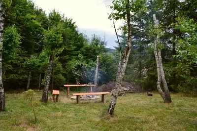 a picnic table in the middle of a field with trees at Dom w Beskidach in Stryszawa