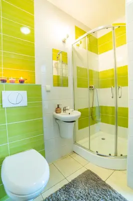 a bathroom with a shower and a toilet and a sink at Gościniec pod Lilijką in Podzamcze