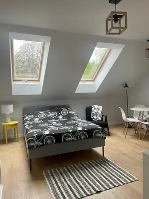 a bedroom with a bed in a room with skylights at Zakątek Solny in Bochnia