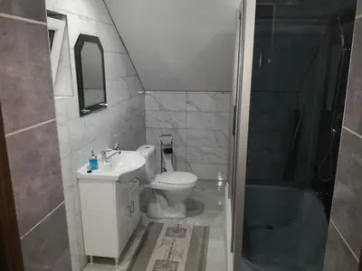 a bathroom with a toilet and a sink and a shower at Apartament u Wioli in Okleśna