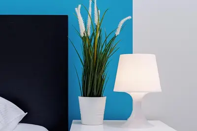 a plant in a white vase next to a lamp at Apartments Cracow Rakowicka by Noclegi Renters in Kraków