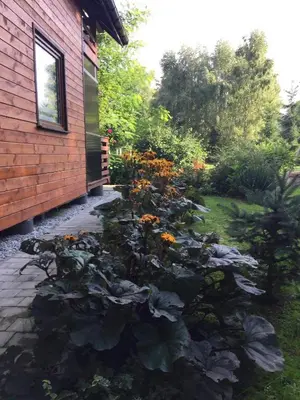 a garden in front of a house with flowers at Domek Nad Brzegiem in Witanowice