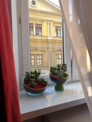 two plants sitting on a window sill looking out at a building at LOFT-to-be Apartment in Kraków