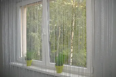 a window with two potted plants on a window sill at Apartament Skałka in Jaworzno