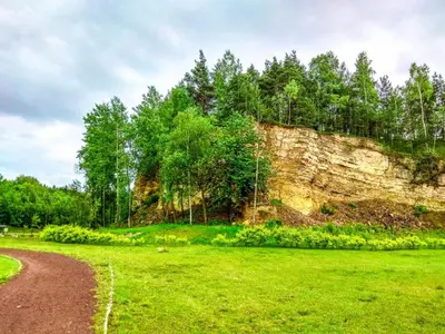 a dirt road in a field with trees in the background at Apartament Skałka in Jaworzno