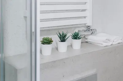 three potted plants sitting on a shelf in a bathroom at M3 Main Square Studio in Kraków