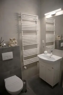 a bathroom with a white toilet and a sink at Oak Tree Old Town Apartments in Kraków
