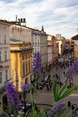 a view of a city street with purple flowers at Royal flats Old Town in Kraków