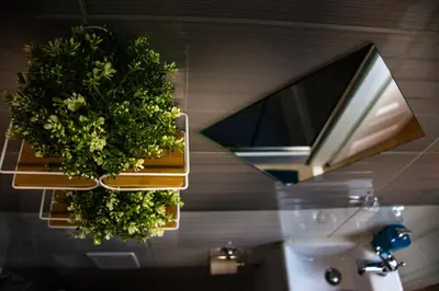 a bathroom with a sink with a potted plant on a mirror at Royal flats Old Town in Kraków