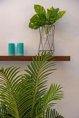 a plant in a glass vase on a shelf at 3D Wawel Apartament in Kraków