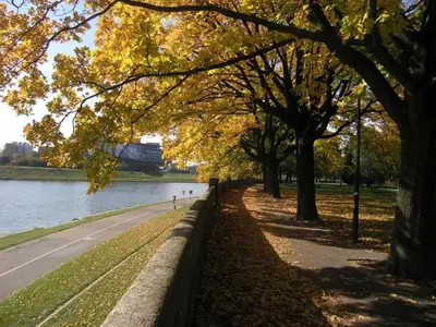 a path in a park next to a river with trees at Apartment in Krakow near Main Square in Kraków